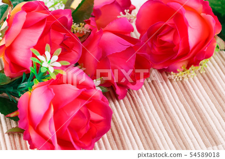 Roses 54589018