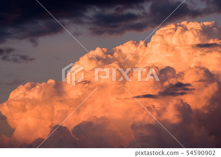 Sunset light Sunset light 54590902