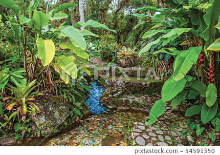 Stones and colorful tiles amid tropical landscape 54591350
