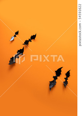 Creative top view halloween composition of black 54591622