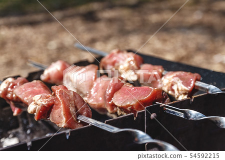 Meat skewers for kebabs grilled n grill on the Meat skewers for kebabs grilled n grill on the 54592215