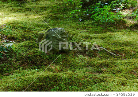 Sansen-in Ariyoen Warabe Jizo 54592539