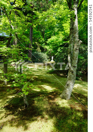Sansen-in Arikuen石佛 Sansen-in Arikuen石佛 54592541