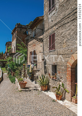 Walkway with flowering plants and blue sky 54592914