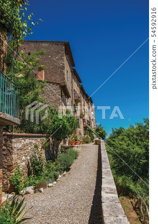 Walkway with flowering plants and blue sky 54592916