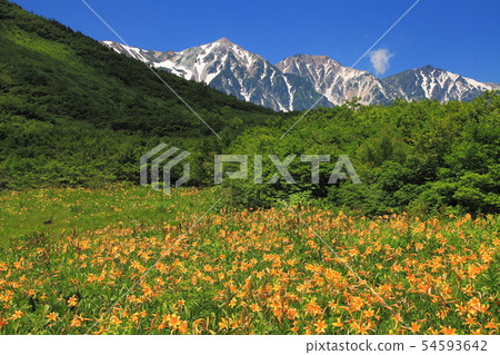 Happo One的夏天 Happo One的夏天 54593642