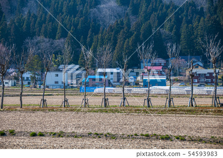 小千穀米橋 小千穀米橋 54593983