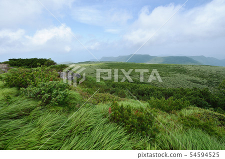 函館山頂的風景(北海道,美惠町) 函館山頂的風景(北海道,美惠町) 54594525