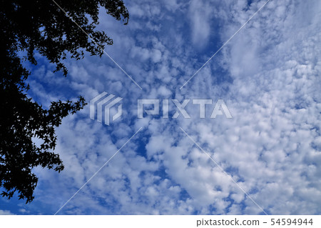 Autumn Sky Scale Cloud Autumn Sky Scale Cloud 54594944