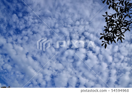 Autumn Sky Scale Cloud 54594968