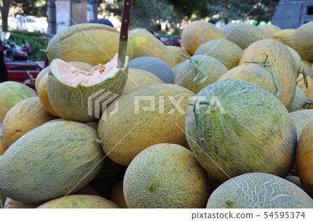 Melon Hamiuri in Xinjiang Uygur Autonomous Region, China Melon Hamiuri in Xinjiang Uygur Autonomous Region, China 54595374
