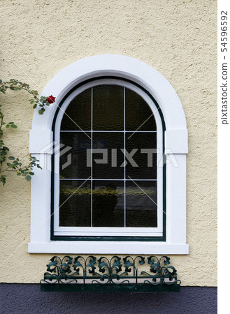 Windows, rose flowers, Vienna, Austria 54596592
