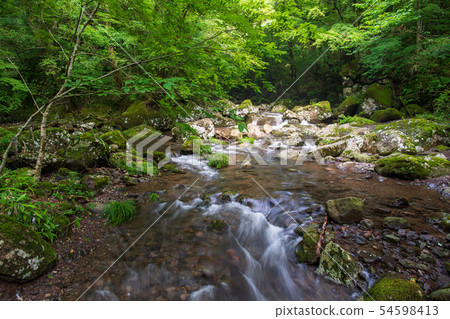 scenery scenery 54598413