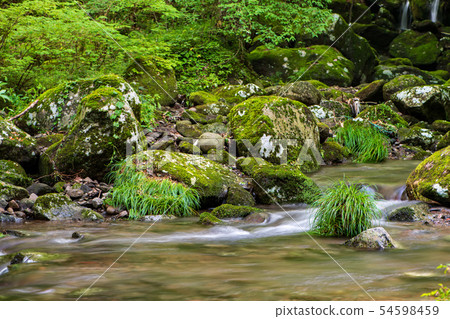 scenery scenery 54598459