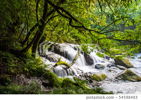 風景 風景 54598483