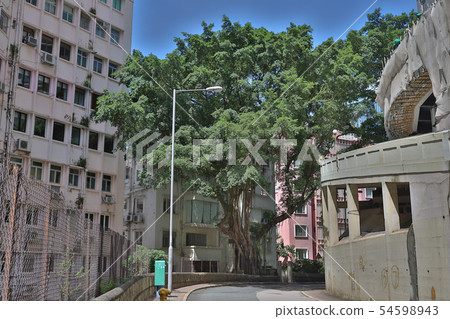 residential Buildings at wan chai , 1 July 2019 residential Buildings at wan chai , 1 July 2019 54598943