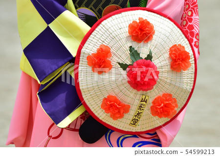 Yamagata Hanagasa Festival 54599213
