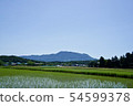 Rice field rice planting mountain 54599378