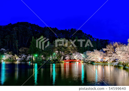 琳達公園的櫻花 54599640