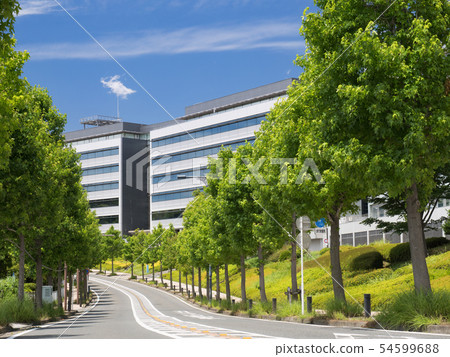 Kanagawa Prefecture Yokosuka Research Park 54599688