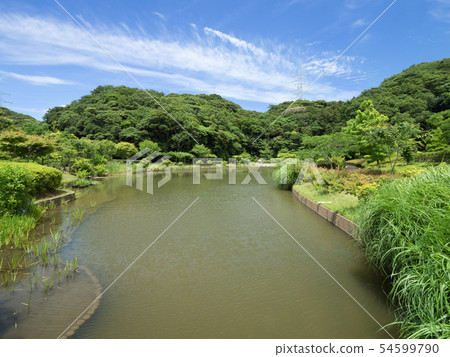 Kanagawa Prefecture Hikarinooka waterfront park Kanagawa Prefecture Hikarinooka waterfront park 54599790