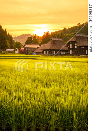 Summer rural landscape (at dusk of Ashinoshima ring village) 54599817