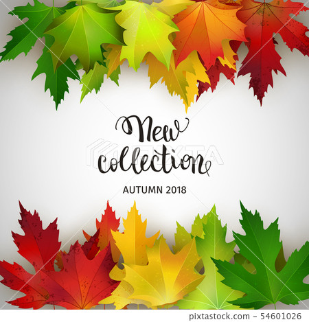 New autumn collection, banner with colorful maple New autumn collection, banner with colorful maple 54601026