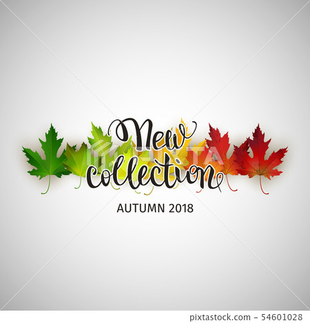 New autumn collection, banner with colorful maple New autumn collection, banner with colorful maple 54601028