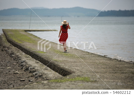 旅行,海灘,海上旅行,務安 旅行,海灘,海上旅行,務安 54602212