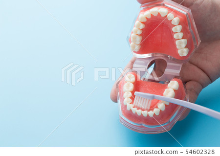 Teeth brushing teeth Teeth brushing teeth 54602328