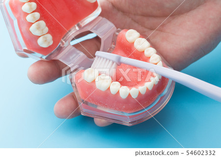 Teeth brushing teeth 54602332