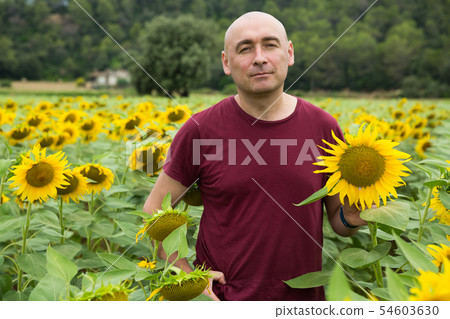 Man in sunflowers field 54603630