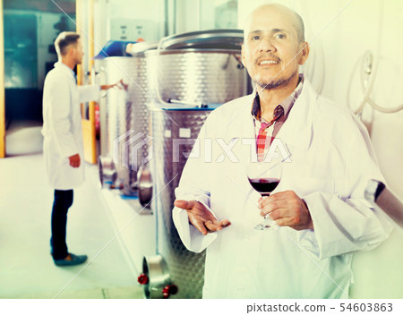 Winemaker examining sample of wine 54603863