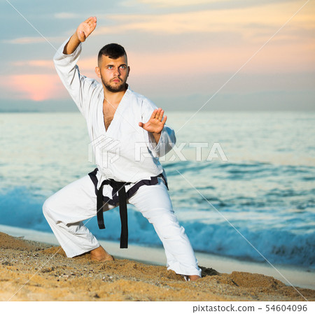 Guy doing karate poses 54604096