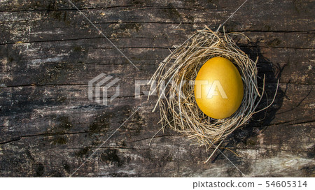 A golden egg opportunity concept wealth and rich A golden egg opportunity concept wealth and rich 54605314