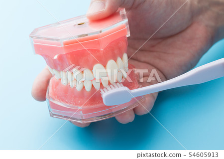 Teeth brushing teeth 54605913