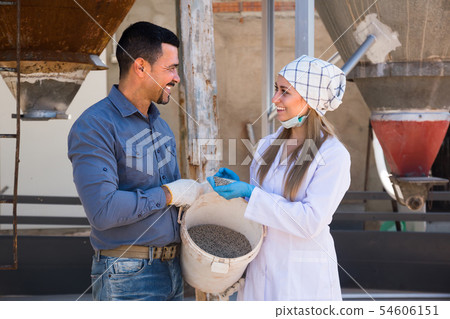 Two farmers in pigsty 54606151