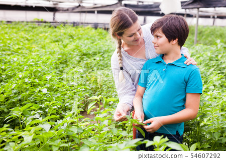 Female professional gardener with boy looking white jute herbs Female professional gardener with boy looking white jute herbs 54607292