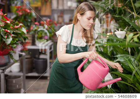 Professional woman florist watering flowers from a plastic watering can in floral shop 54608609