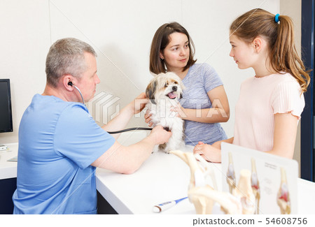 Concerned family with dog consulting by veterinarian Concerned family with dog consulting by veterinarian 54608756