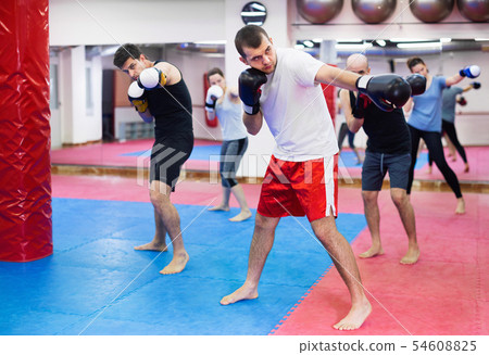 Portrait of females and males training in boxing gloves Portrait of females and males training in boxing gloves 54608825
