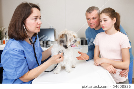 Woman veterinarian consulting family with dog 54608826