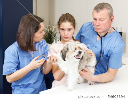 Troubled girl with dog in veterinarian clinic Troubled girl with dog in veterinarian clinic 54608894