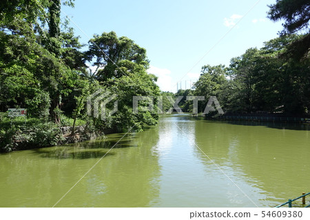 武藏關公園（東京都東區練馬區） 54609380