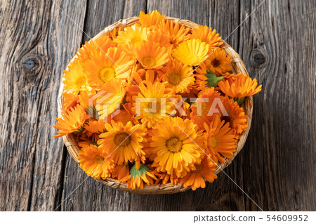 Calendula flowers in a wicker basket Calendula flowers in a wicker basket 54609952