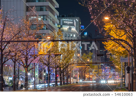 Osaka winter midosuji illuminations light renaissance 54610063