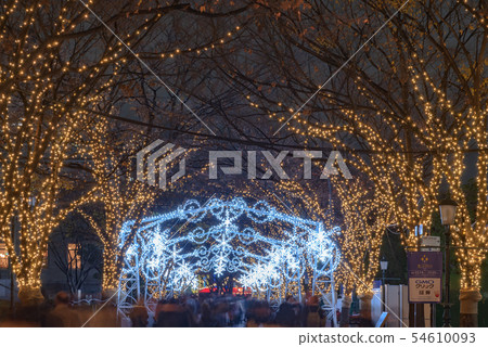 Osaka winter midosuji illuminations light renaissance 54610093