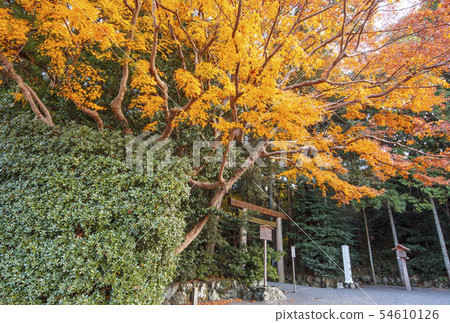 秋天伊勢神宮秋天秋天月亮讀寺廟楓樹和花托伊勢志摩觀光-照片