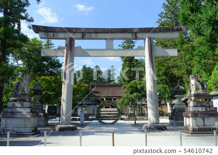 Scenery of the ring and grounds of Oiso's rose over the summer in Shiga Prefecture, Taga Taisha 54610742