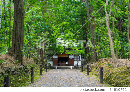 京都Jizoin（竹野寺）的新鮮綠色 54610751